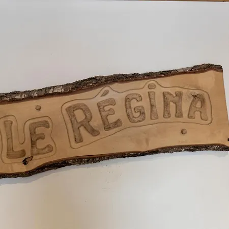 公寓 Au Centre De 梅杰夫